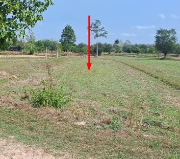 ขายทอดตลาด ที่ดินว่างเปล่า ต.แวงน่าง อ.เมืองมหาสารคาม จ.มหาสารคาม