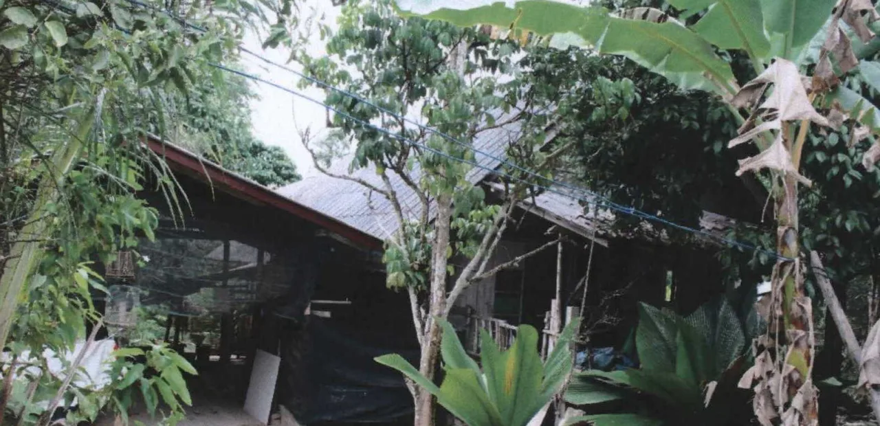 ขายทอดตลาด ที่ดินพร้อมสิ่งปลูกสร้าง ต.ปากู อ.ทุ่งยางแดง จ.ปัตตานี