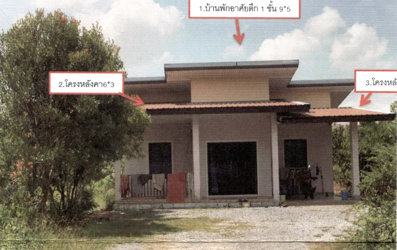 ขายทอดตลาด ที่ดินพร้อมสิ่งปลูกสร้าง ต.โคกชะงาย อ.เมืองพัทลุง จ.พัทลุง