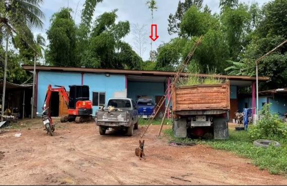 ขายทอดตลาด ที่ดินพร้อมสิ่งปลูกสร้าง ต.บ้านไร่ อ.บางกระทุ่ม จ.พิษณุโลก