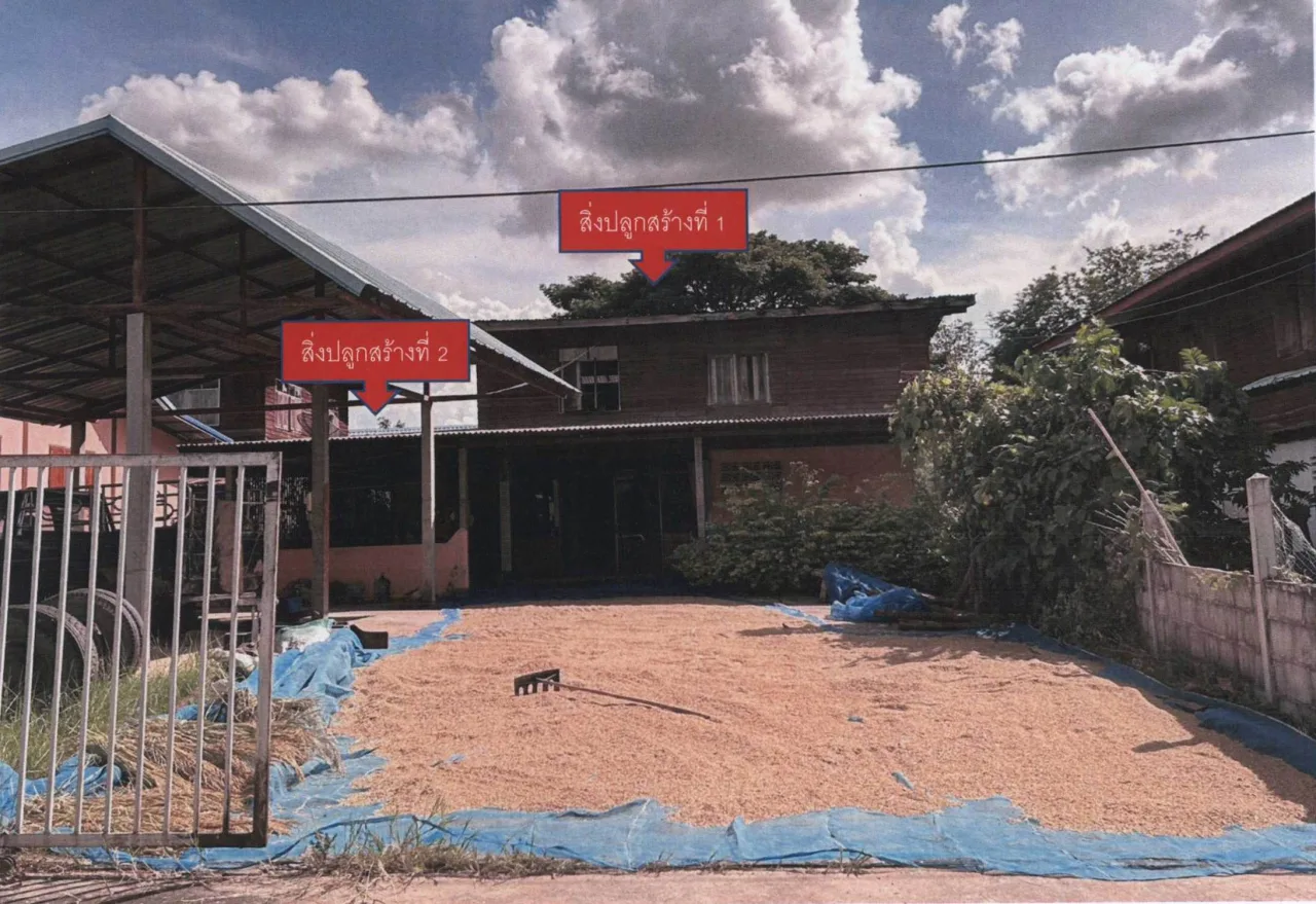 ขายทอดตลาด ที่ดินพร้อมสิ่งปลูกสร้าง ต.เขวาไร่ อ.โกสุมพิสัย จ.มหาสารคาม