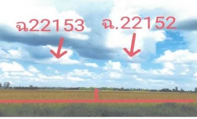 ขายทอดตลาด ที่ดินว่างเปล่า ต.ท่านางงาม อ.บางระกำ จ.พิษณุโลก