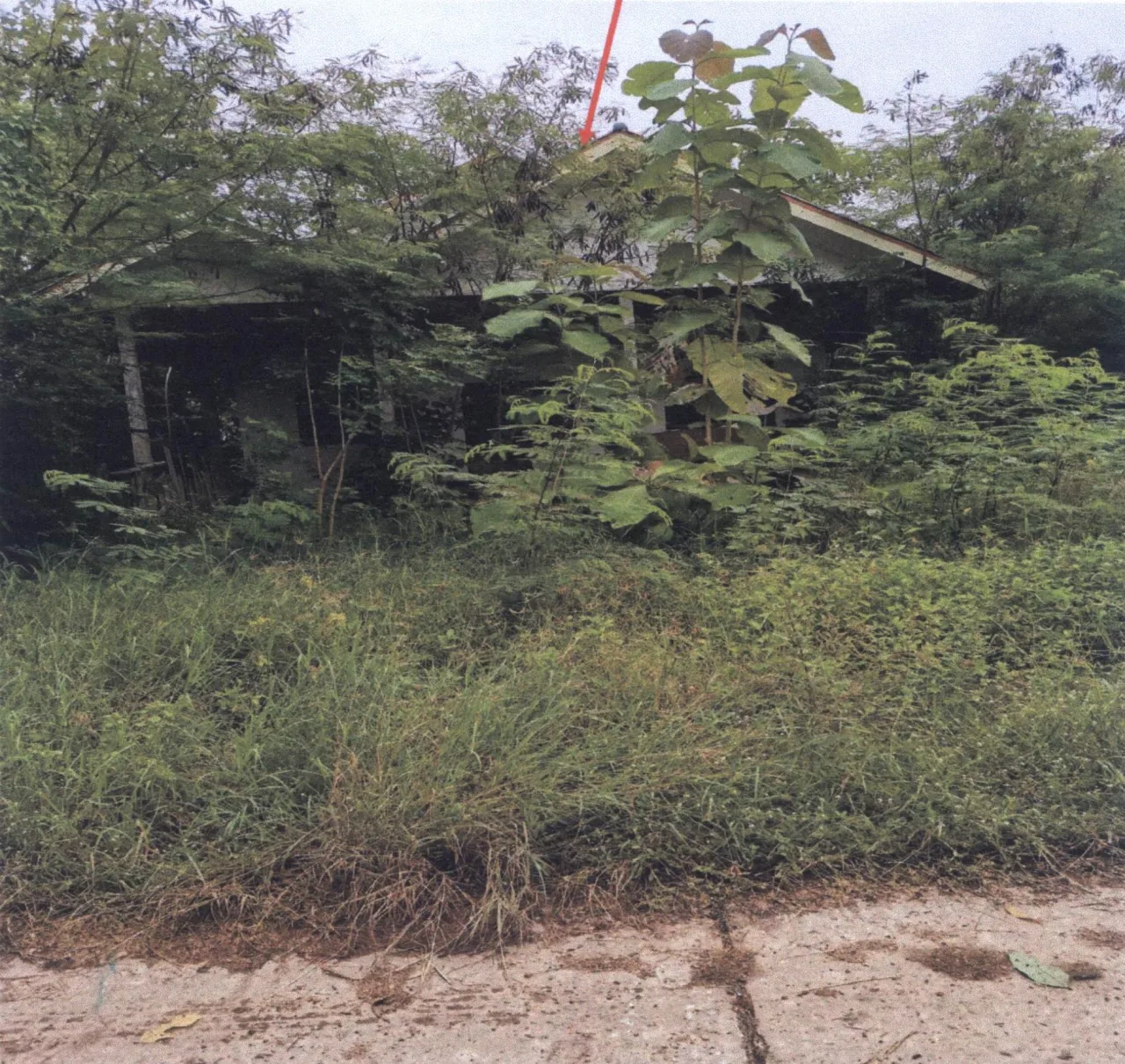 ขายทอดตลาด ที่ดินพร้อมสิ่งปลูกสร้าง ต.เกาะตาล อ.ขาณุวรลักษบุรี จ.กำแพงเพชร