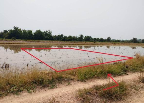 ขายทอดตลาด ที่ดินว่างเปล่า ต.เขาคีริส อ.พรานกระต่าย จ.กำแพงเพชร