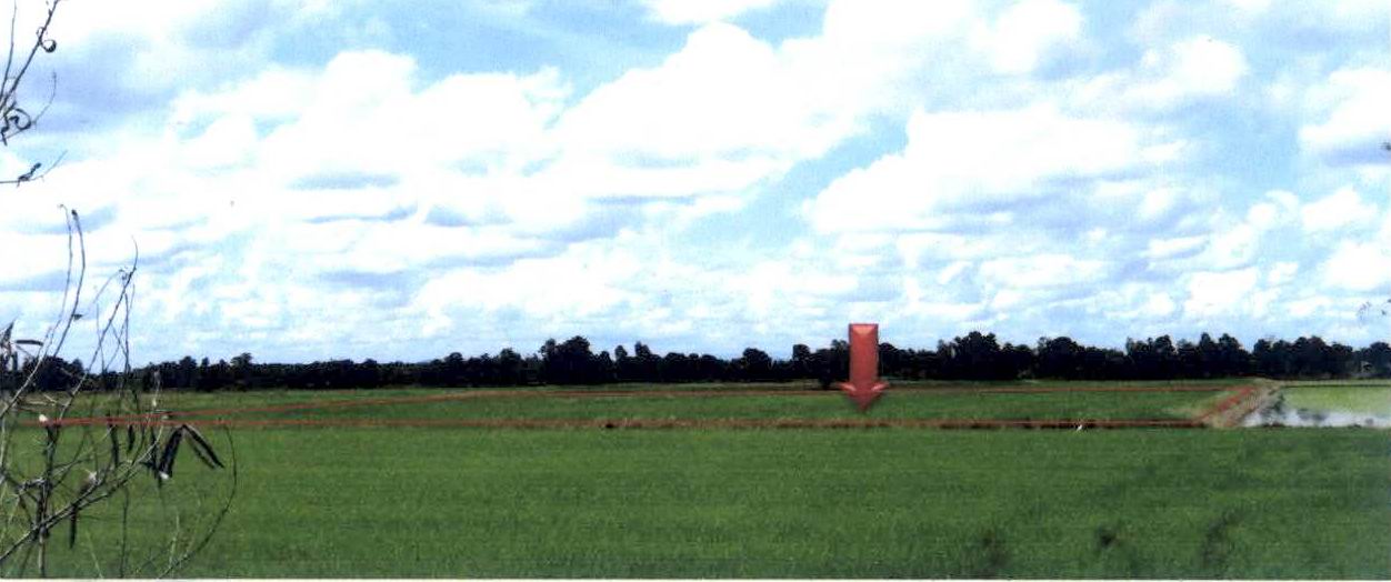 ขายทอดตลาด ที่ดินว่างเปล่า ต.บ่อถ้ำ อ.ขาณุวรลักษบุรี จ.กำแพงเพชร