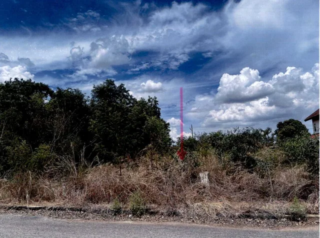 ขายทอดตลาด ที่ดินว่างเปล่า ต.วังจุฬา อ.วังน้อย จ.พระนครศรีอยุธยา