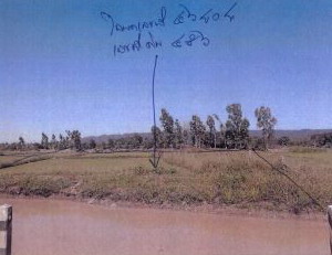 ขายทอดตลาด ที่ดินว่างเปล่า ต.นครไทย อ.นครไทย จ.พิษณุโลก
