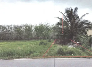 รูปทรัพย์ 5
