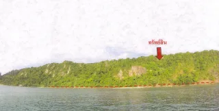 รูปทรัพย์ 2