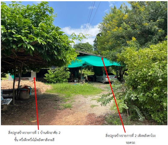 ขายทอดตลาด ที่ดินพร้อมสิ่งปลูกสร้าง ต.สากเหล็ก อ.กิ่งอำเภอสากเหล็ก จ.พิจิตร