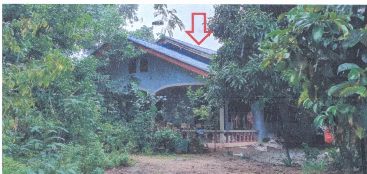ขายทอดตลาด ที่ดินพร้อมสิ่งปลูกสร้าง ต.บ้านนา อ.ศรีนครินทร์ จ.พัทลุง