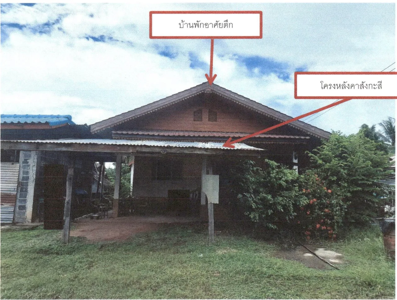 ขายทอดตลาด ที่ดินพร้อมสิ่งปลูกสร้าง ต.บ่อโพธิ์ อ.นครไทย จ.พิษณุโลก