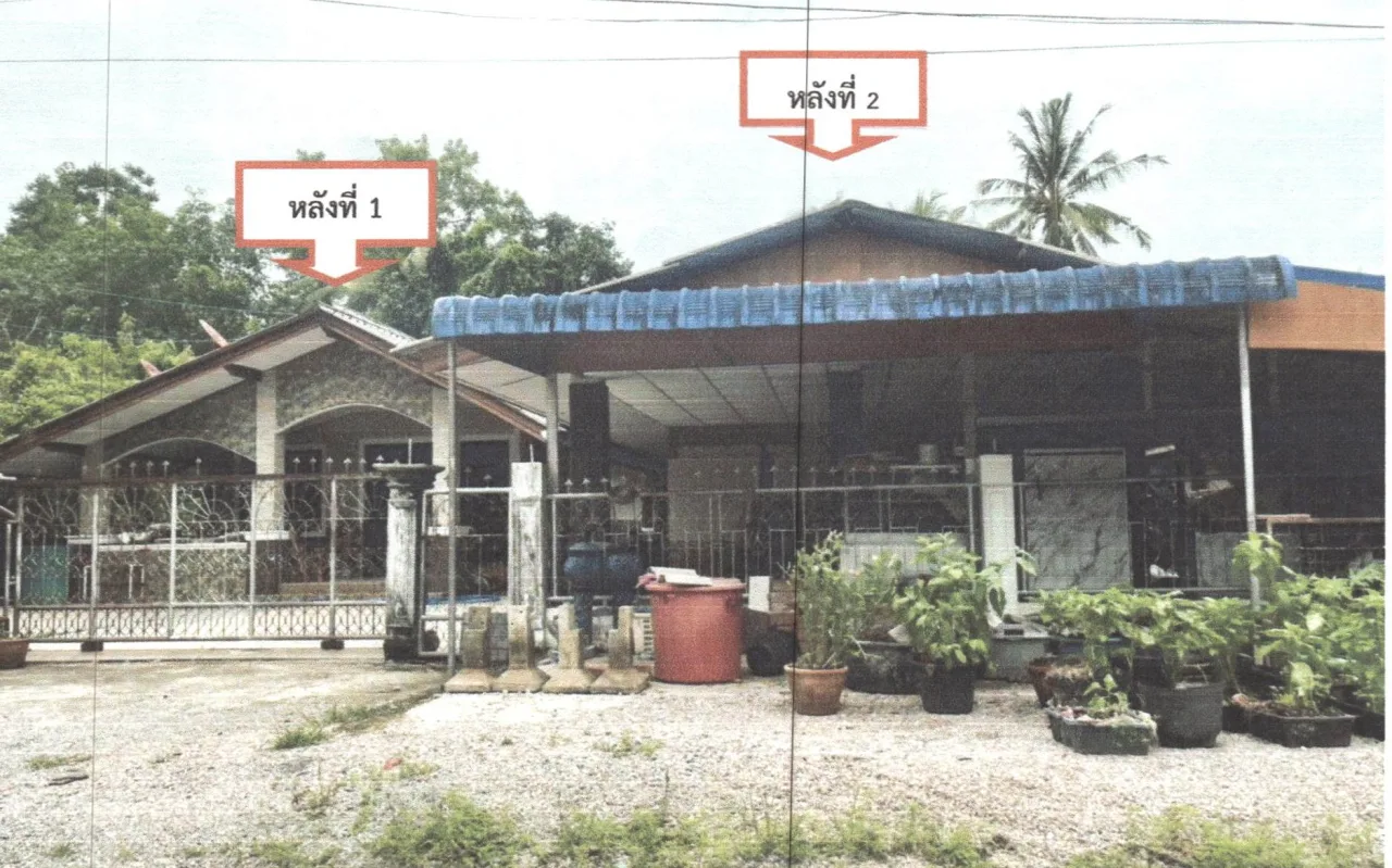 ขายทอดตลาด ที่ดินพร้อมสิ่งปลูกสร้าง ต.ควนขนุน อ.ควนขนุน จ.พัทลุง