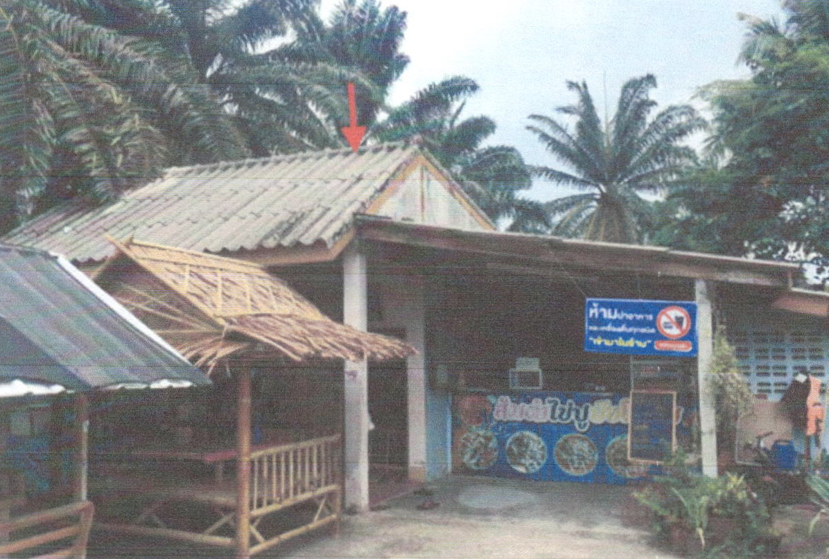 ขายทอดตลาด ที่ดินพร้อมสิ่งปลูกสร้าง ต.เหนือคลอง อ.เหนือคลอง จ.กระบี่