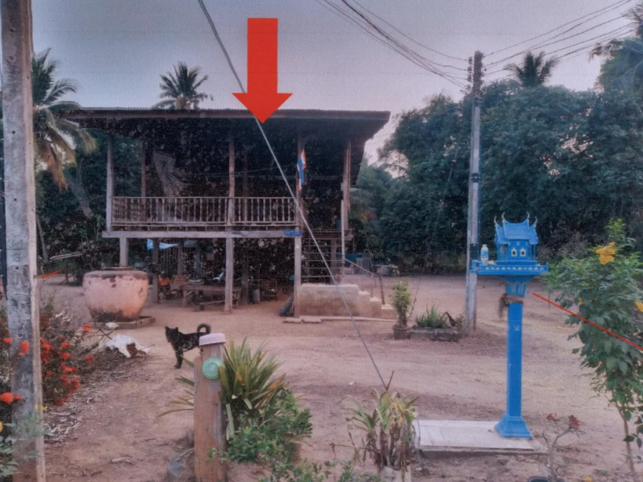 ขายทอดตลาด ที่ดินพร้อมสิ่งปลูกสร้าง ต.มะต้อง อ.พรหมพิราม จ.พิษณุโลก
