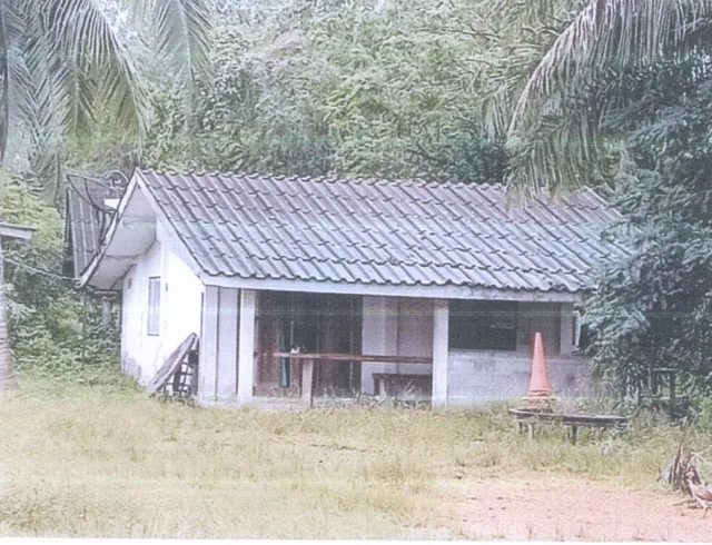 ขายทอดตลาด ที่ดินพร้อมสิ่งปลูกสร้าง ต.หนองธง อ.ป่าบอน จ.พัทลุง