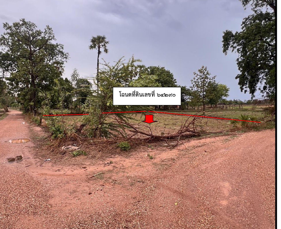 ขายทอดตลาด ที่ดินว่างเปล่า ต.ขามเฒ่าพัฒนา อ.กันทรวิชัย จ.มหาสารคาม
