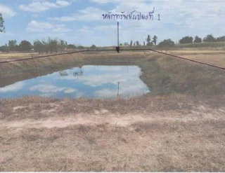 รูปทรัพย์ 1