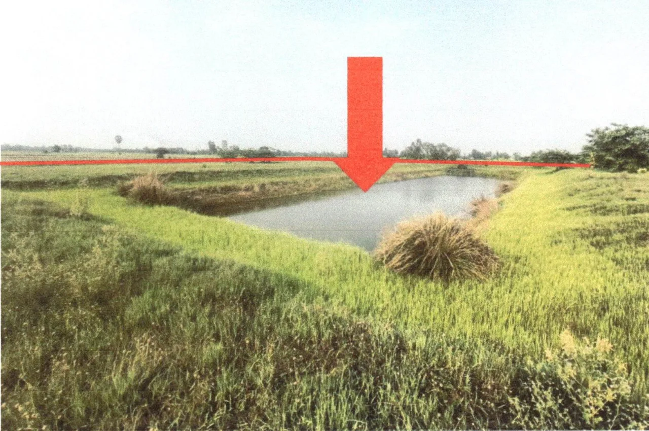 ขายทอดตลาด ที่ดินว่างเปล่า ต.ท่าช้าง อ.พรหมพิราม จ.พิษณุโลก