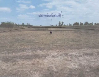 รูปทรัพย์ 2