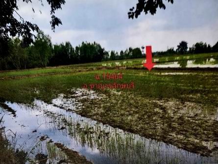 ขายทอดตลาด ที่ดินว่างเปล่า ต.ดอนแตง อ.ขาณุวรลักษบุรี จ.กำแพงเพชร