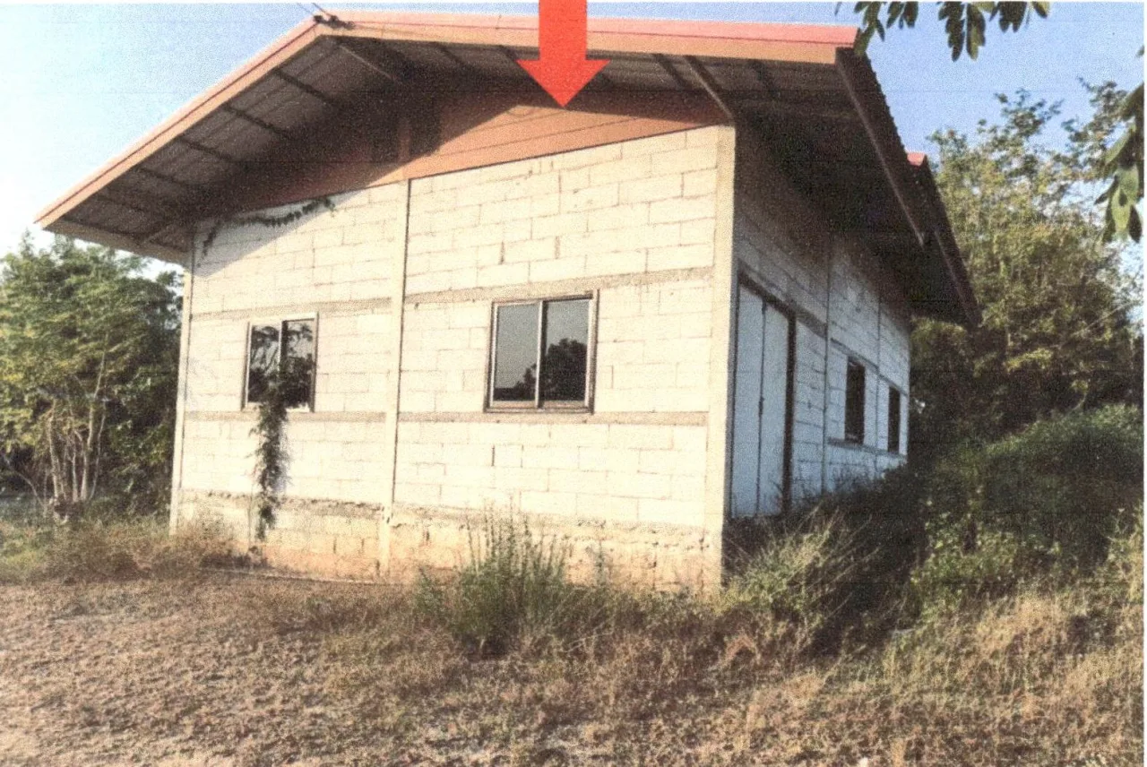ขายทอดตลาด ที่ดินพร้อมสิ่งปลูกสร้าง ต.ดงประคำ อ.พรหมพิราม จ.พิษณุโลก