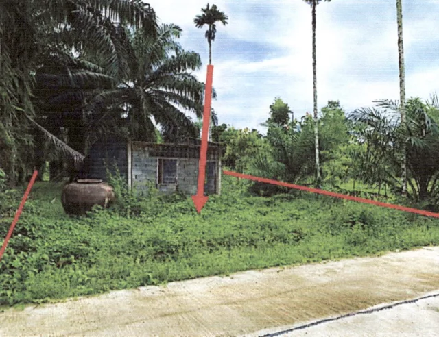 ขายทอดตลาด ที่ดินว่างเปล่า จ.เชียงราย