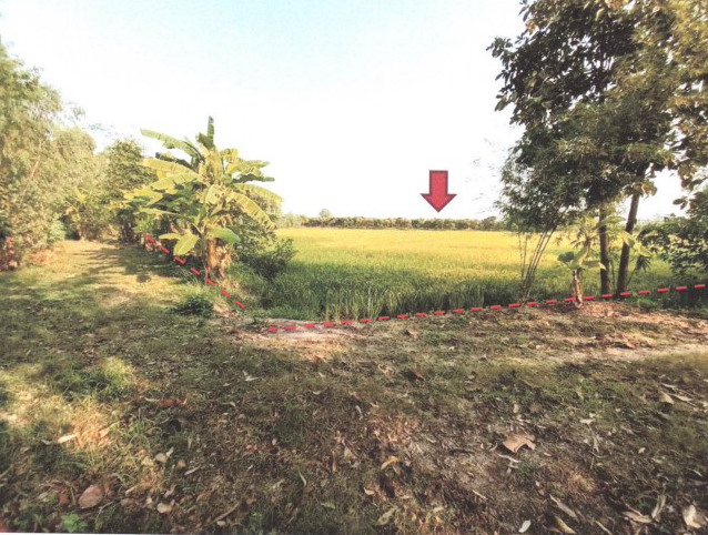ขายทอดตลาด ที่ดินว่างเปล่า จ.สกลนคร