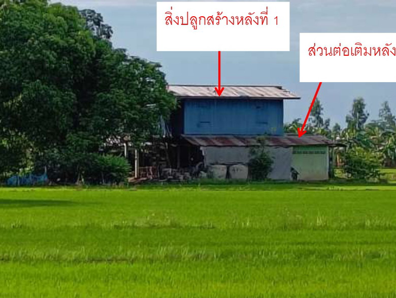 ขายทอดตลาด ที่ดินพร้อมสิ่งปลูกสร้าง ต.พรหมพิราม อ.พรหมพิราม จ.พิษณุโลก