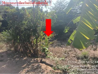 รูปทรัพย์ 2
