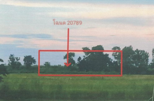 ขายทอดตลาด ที่ดินว่างเปล่า ต.ท่านางงาม อ.บางระกำ จ.พิษณุโลก