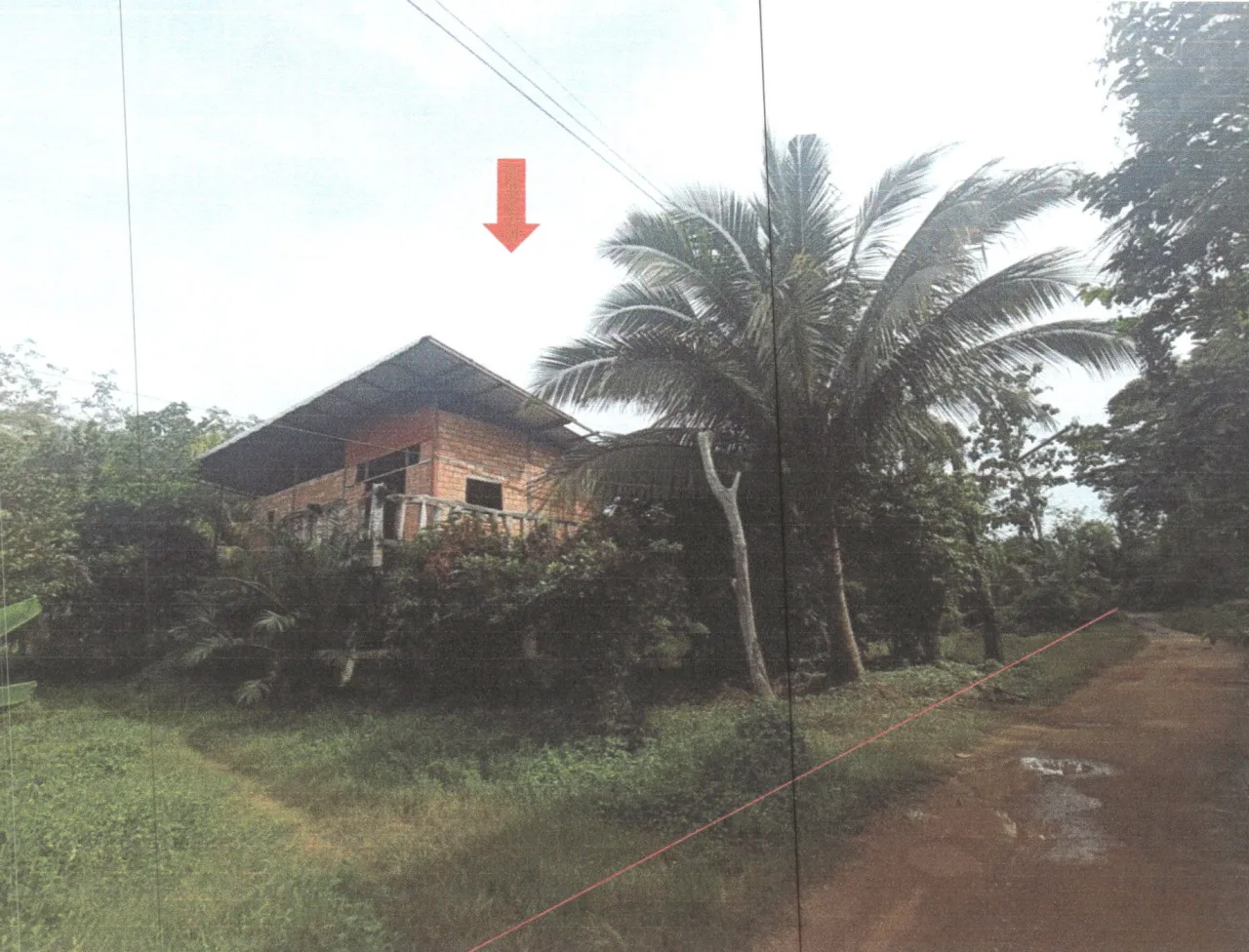 ขายทอดตลาด ที่ดินพร้อมสิ่งปลูกสร้าง ต.ตำนาน อ.เมืองพัทลุง จ.พัทลุง