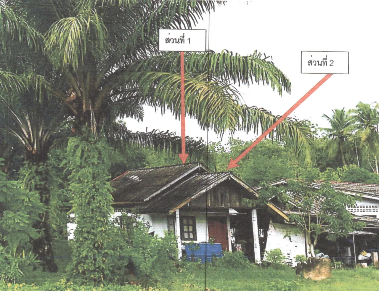 ขายทอดตลาด ที่ดินพร้อมสิ่งปลูกสร้าง ต.นาปะขอ อ.กิ่งอำเภอบางแก้ว จ.พัทลุง