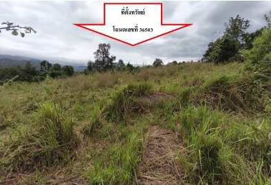 ขายทอดตลาด ที่ดินว่างเปล่า จ.เชียงราย