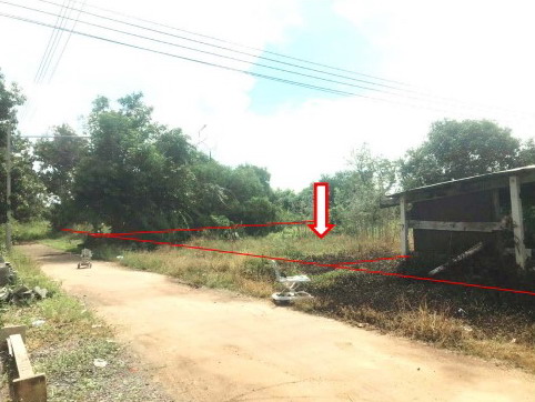 ขายทอดตลาด ที่ดินว่างเปล่า ต.สมอแข อ.เมืองพิษณุโลก จ.พิษณุโลก