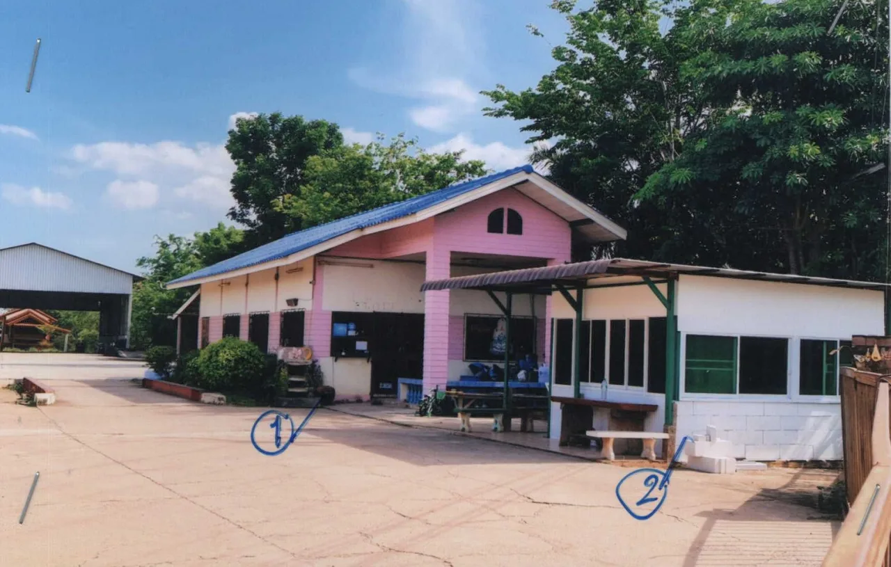 ขายทอดตลาด ที่ดินพร้อมสิ่งปลูกสร้าง ต.ป่ามะคาบ อ.เมืองพิจิตร จ.พิจิตร