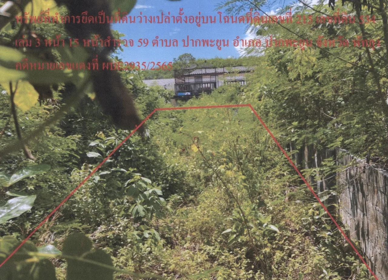 ขายทอดตลาด ที่ดินว่างเปล่า ต.ปากพะยูน อ.ปากพะยูน จ.พัทลุง