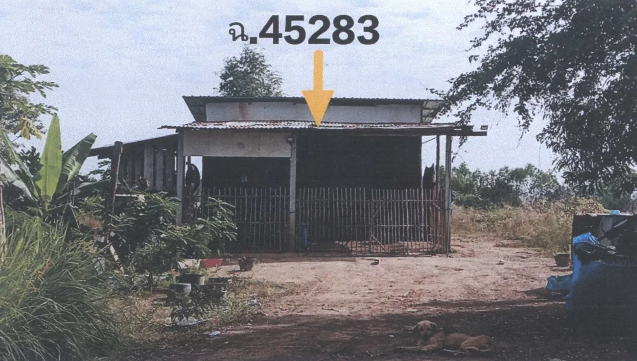 ขายทอดตลาด ที่ดินพร้อมสิ่งปลูกสร้าง ต.หนองพยอม อ.ตะพานหิน จ.พิจิตร