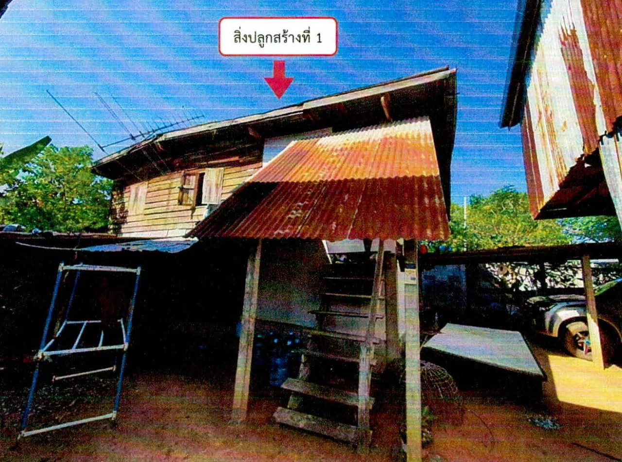 ขายทอดตลาด ที่ดินพร้อมสิ่งปลูกสร้าง ต.หนองซอน อ.เชียงยืน จ.มหาสารคาม