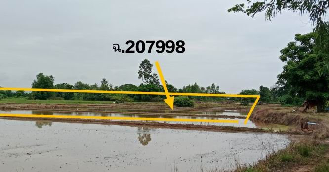 ขายทอดตลาด ที่ดินว่างเปล่า ต.บ้านป่า อ.เมืองพิษณุโลก จ.พิษณุโลก