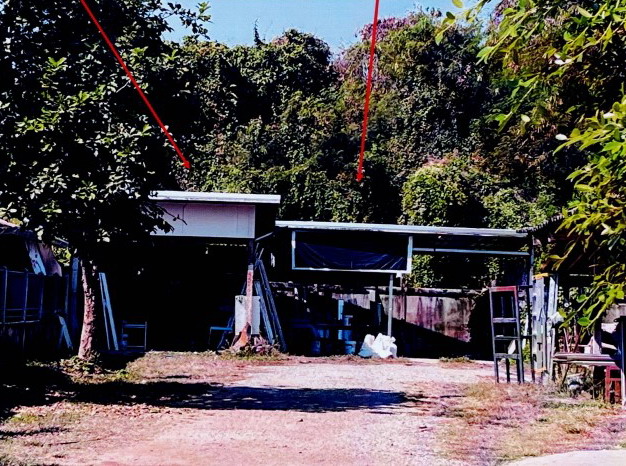 ขายทอดตลาด ที่ดินพร้อมสิ่งปลูกสร้าง ต.บ้านคลอง อ.เมืองพิษณุโลก จ.พิษณุโลก