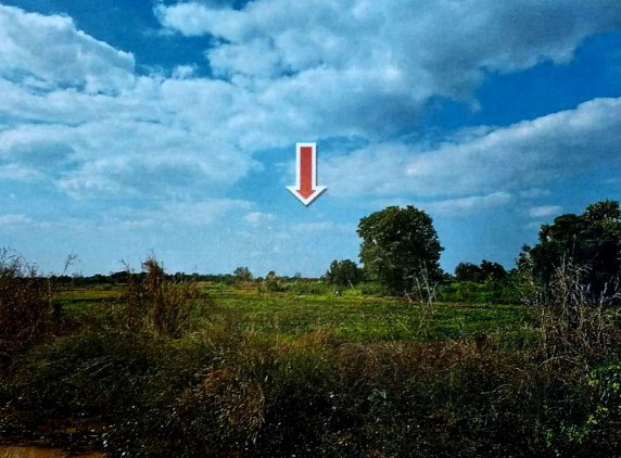ขายทอดตลาด ที่ดินว่างเปล่า ต.สมอแข อ.เมืองพิษณุโลก จ.พิษณุโลก