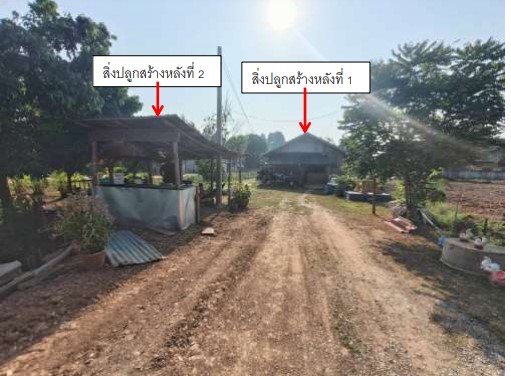 ขายทอดตลาด ที่ดินพร้อมสิ่งปลูกสร้าง ต.พรหมพิราม อ.พรหมพิราม จ.พิษณุโลก
