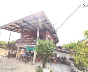 ขายทอดตลาด ที่ดินพร้อมสิ่งปลูกสร้าง ต.ป่ามะคาบ อ.เมืองพิจิตร จ.พิจิตร