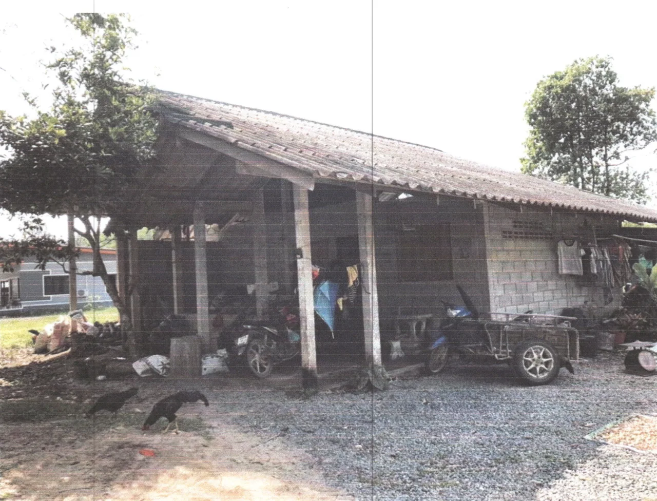 ขายทอดตลาด ที่ดินพร้อมสิ่งปลูกสร้าง ต.เกาะเต่า อ.กิ่งอำเภอป่าพะยอม จ.พัทลุง