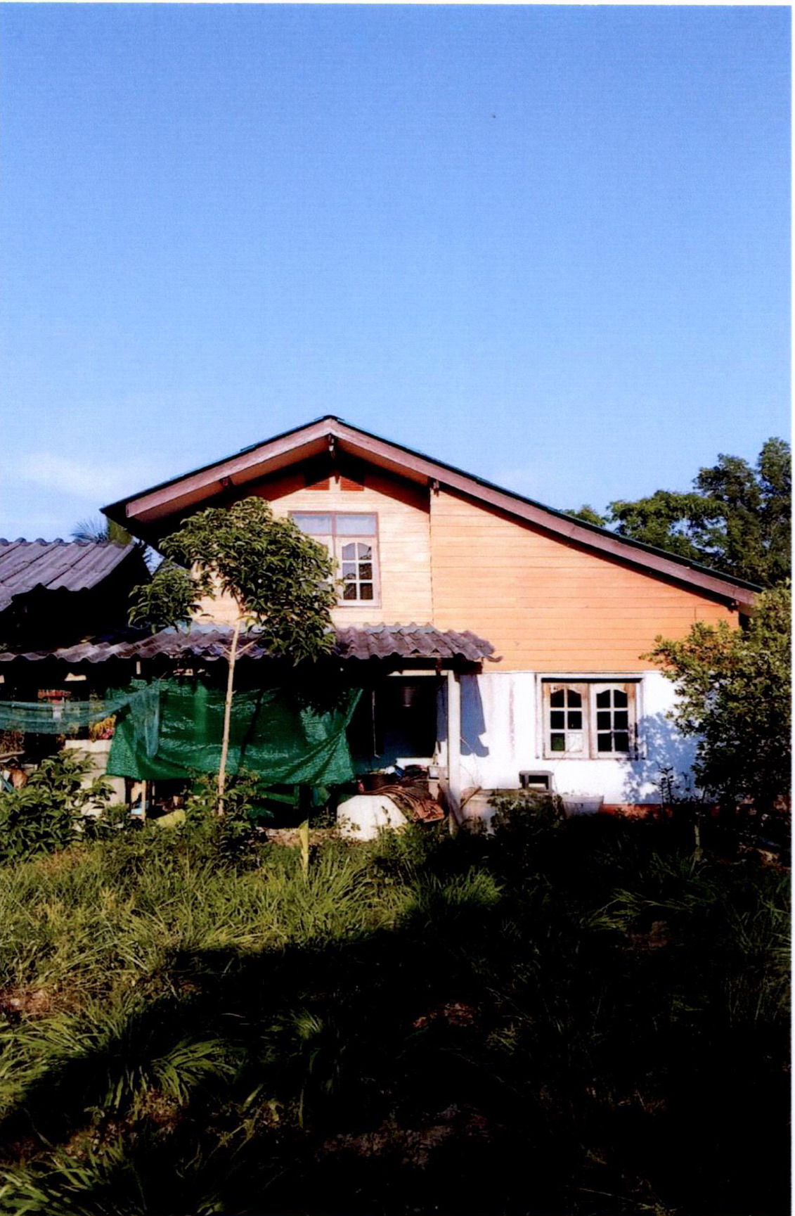 ขายทอดตลาด ที่ดินพร้อมสิ่งปลูกสร้าง ต.ตะแพน อ.ศรีบรรพต จ.พัทลุง