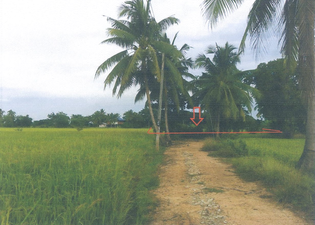 ขายทอดตลาด ที่ดินว่างเปล่า ต.บางคลาน อ.โพทะเล จ.พิจิตร