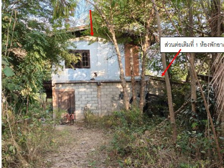 ขายทอดตลาด ที่ดินพร้อมสิ่งปลูกสร้าง ต.ดงประคำ อ.พรหมพิราม จ.พิษณุโลก