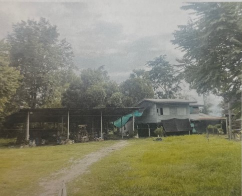 ขายทอดตลาด ที่ดินพร้อมสิ่งปลูกสร้าง ต.ชุมแสงสงคราม อ.บางระกำ จ.พิษณุโลก