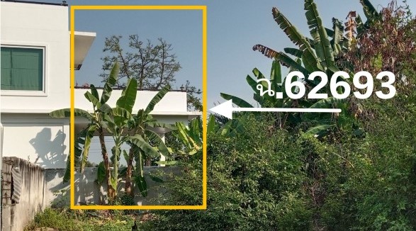 ขายทอดตลาด ที่ดินพร้อมสิ่งปลูกสร้าง ต.แม่ระกา อ.วังทอง จ.พิษณุโลก
